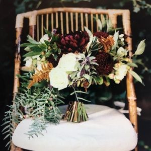 Meet your Posher, Dani